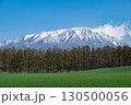 岩手県/ 残雪の白と緑と青空のコントラストが美しい春の岩手山 岩手県/ 残雪の白と緑と青空のコントラストが美しい春の岩手山 130500056