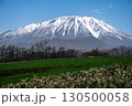 岩手県/ 残雪の白と緑と青空のコントラストが美しい春の岩手山 岩手県/ 残雪の白と緑と青空のコントラストが美しい春の岩手山 130500058