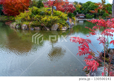 紅葉に彩られた渉成園のの印月池 紅葉に彩られた渉成園のの印月池 130500141