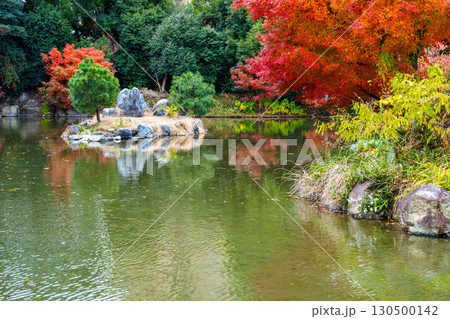 紅葉に彩られた渉成園のの印月池 130500142
