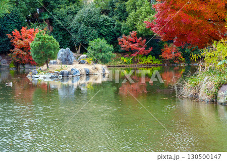 紅葉に彩られた渉成園のの印月池 130500147