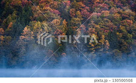 中綱湖（秋） 130500508