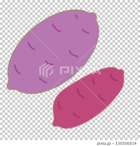 Simple illustration of sweet potato with skin 130500814