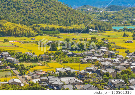 秋の京都　嵯峨野路の田園風景 130501339