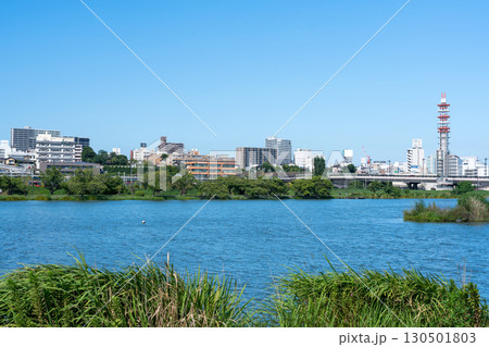 千波湖と市街地の風景（茨城県水戸市） 130501803