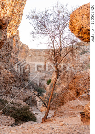 Inside Sesriem canyon in Namibia 130502426