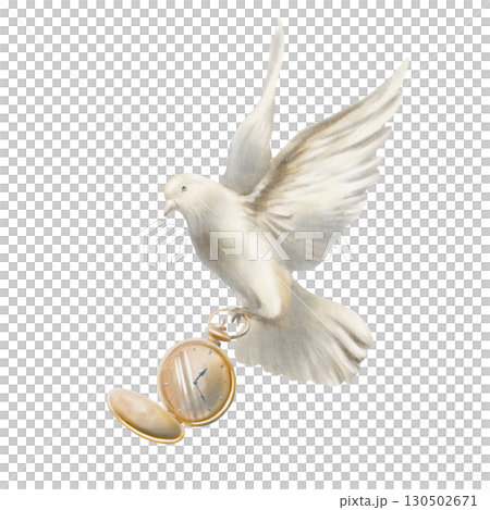 White pigeon soaring in air with vintage gold pocket watch with open cover showing time of change.Dove spread its wings.Hand drawn watercolor illustration isolated on white 130502671