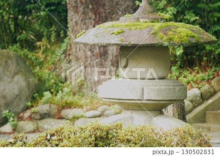 称名寺の苔むした石灯籠 130502831