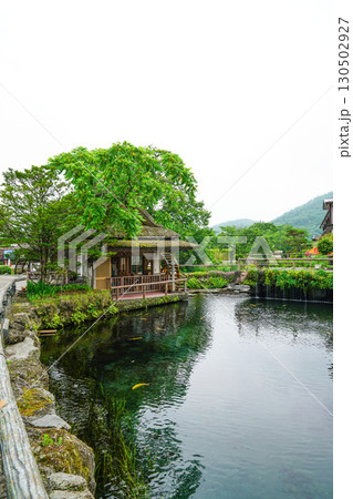 忍野八海 130502927