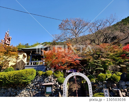 篠栗 源光山 明石寺の紅葉 篠栗 源光山 明石寺の紅葉 130503036