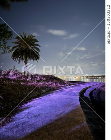 沖縄の海沿いの夜景 130503212