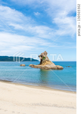 ライオン岩 日南市梅ヶ浜 ライオン岩 日南市梅ヶ浜 130503302
