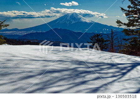 大菩薩連嶺・牛奥ノ雁ヶ腹摺山から見る富士山 大菩薩連嶺・牛奥ノ雁ヶ腹摺山から見る富士山 130503518