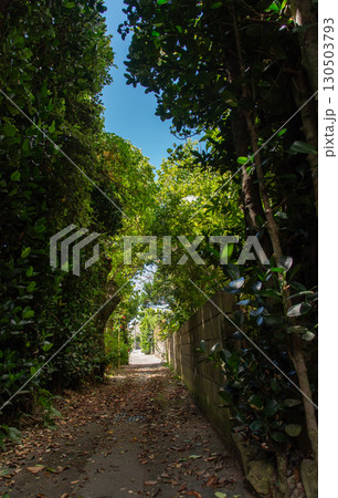 木々の影が道にある天気の良い田舎の路地裏の一直線の道 木々の影が道にある天気の良い田舎の路地裏の一直線の道 130503793
