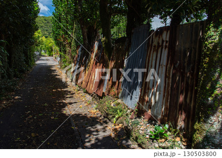 木々の影が道にある天気の良い田舎の路地裏の一直線の道 130503800