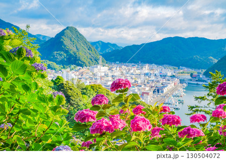 【静岡県】下田市、下田公園のアジサイと街並み 【静岡県】下田市、下田公園のアジサイと街並み 130504072