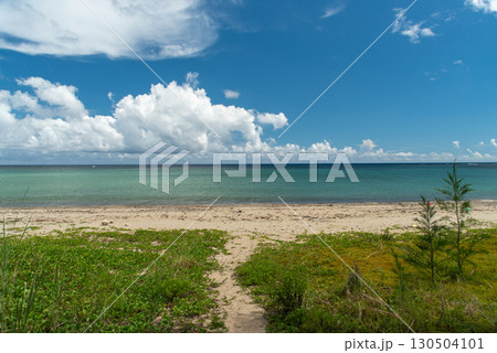 水平線のはっきりしたエメラルドグリーンの海と白い砂浜 130504101