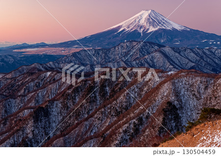 大菩薩連嶺・白谷ノ丸から見る夜明けの富士山 130504459