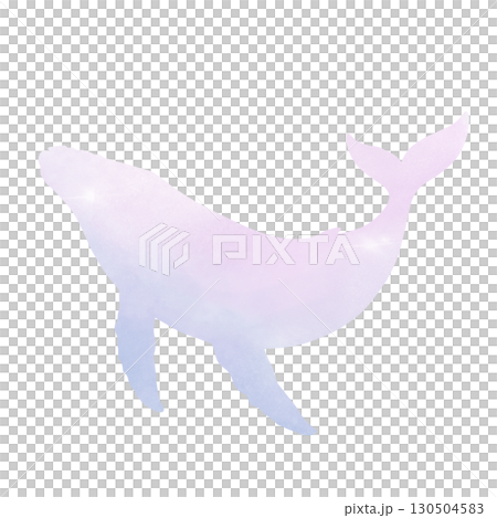 Humpback whale  130504583