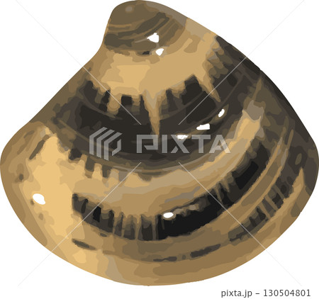 手描き水彩ハマグリ 130504801