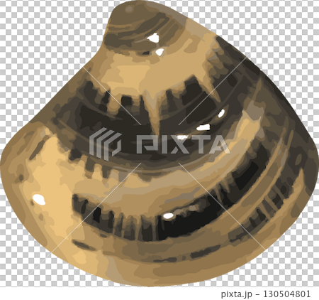 手描き水彩ハマグリ 130504801