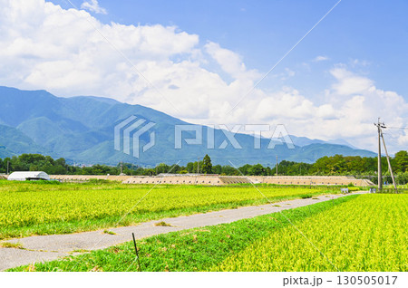 夏の田園風景と道路建設現場 松本市 夏の田園風景と道路建設現場 松本市 130505017