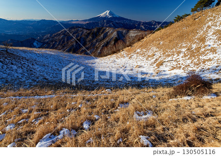 大菩薩連嶺・白谷ノ丸から見る朝の富士山 130505116