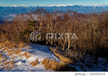 大菩薩連嶺・白谷ノ丸から見る朝の南アルプスの山並み 130505255