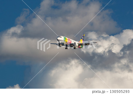 飛行機 さまざまな表情の雲 夏空 夏雲 737 着陸 飛行機 さまざまな表情の雲 夏空 夏雲 737 着陸 130505293