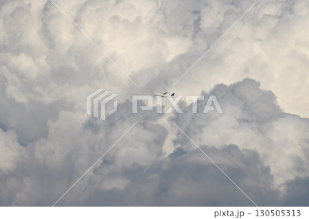 飛行機 さまざまな表情の雲 夏雲 777 飛行機 さまざまな表情の雲 夏雲 777 130505313