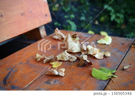Autumn leaves on wooden bench Autumn leaves on wooden bench 130505348