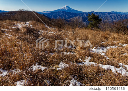冬の大菩薩連嶺・大蔵高丸から見る富士山 130505486