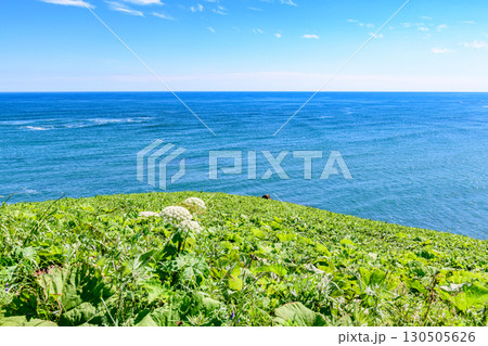 青空の霧多布岬を歩く 130505626