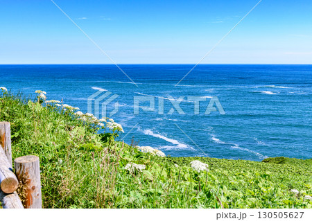 青空の霧多布岬を歩く 青空の霧多布岬を歩く 130505627
