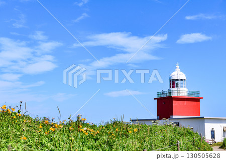 青空の霧多布岬を歩く 130505628