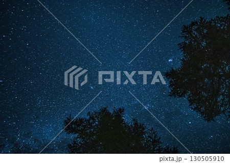 森から見上げる星空 130505910