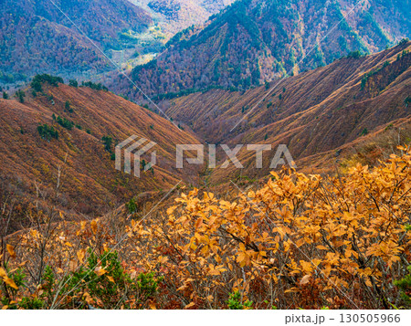 紅葉の平ヶ岳登山道 130505966