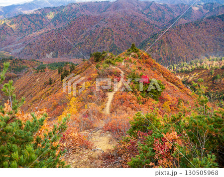 紅葉の平ヶ岳登山道 紅葉の平ヶ岳登山道 130505968