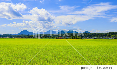 秋の田園風景と実った稲穂 130506441