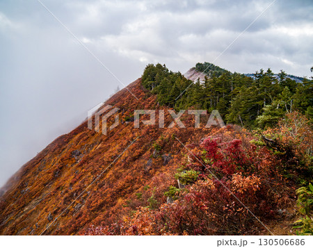 紅葉の平ヶ岳登山道 130506686