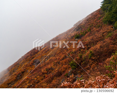 紅葉の平ヶ岳登山道 紅葉の平ヶ岳登山道 130506692