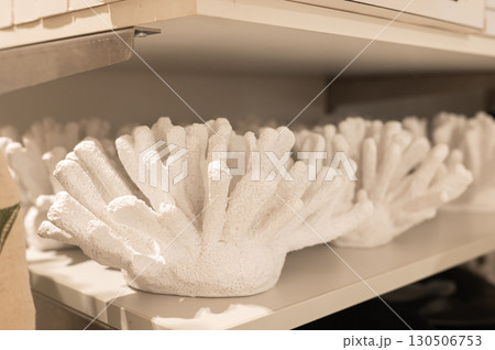 Shelf display of white coral decor pieces in home interiors 130506753