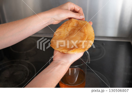 Female hands holding kombucha scoby in kitchen setting 130506807