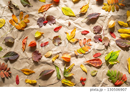 Autumn leaves arranged on crumpled craft paper. Fall season background. 130506907