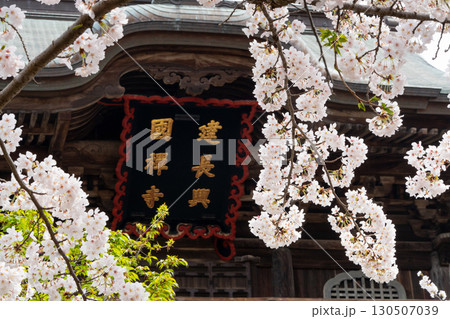 桜の額縁に映える建長寺 ― 鎌倉春景 桜の額縁に映える建長寺 ― 鎌倉春景 130507039