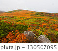 紅葉の栗駒山（神の絨毯） 130507095
