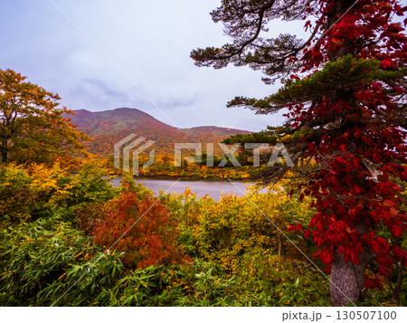 紅葉の栗駒山(神の絨毯) 紅葉の栗駒山(神の絨毯) 130507100