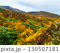 紅葉の栗駒山（神の絨毯） 130507181