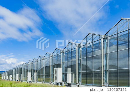 ガラスの温室 130507321