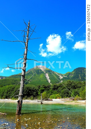 夏の上高地・大正池と焼岳 夏の上高地・大正池と焼岳 130507472